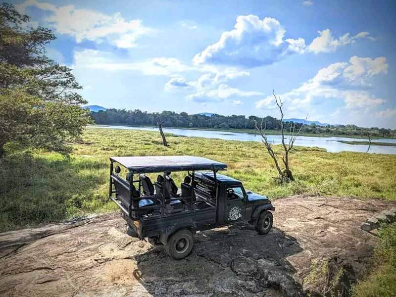 Discover Wildlife Adventures
